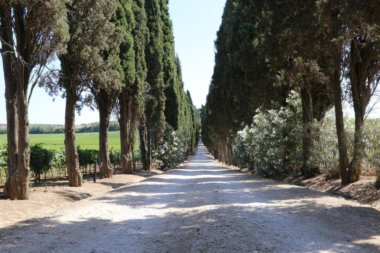 Tenuta Di Pietra Porzia Monte Porzio Catone Exterior photo